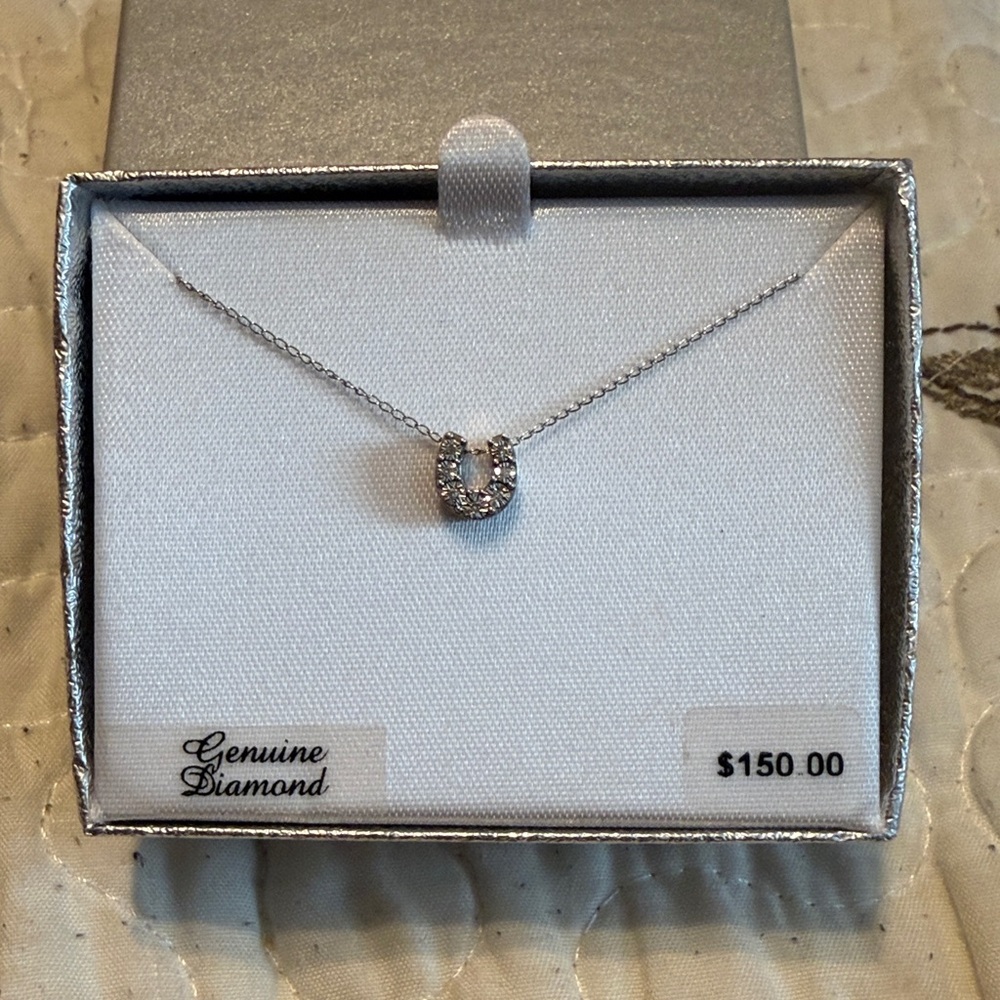 Diamond Horseshoe Necklace (Sterling Silver)